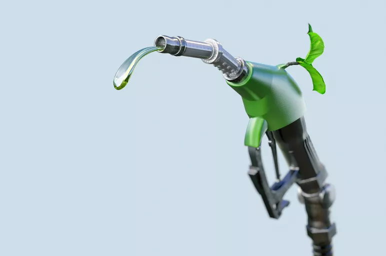 Renewable Diesel vs. Biodiesel 